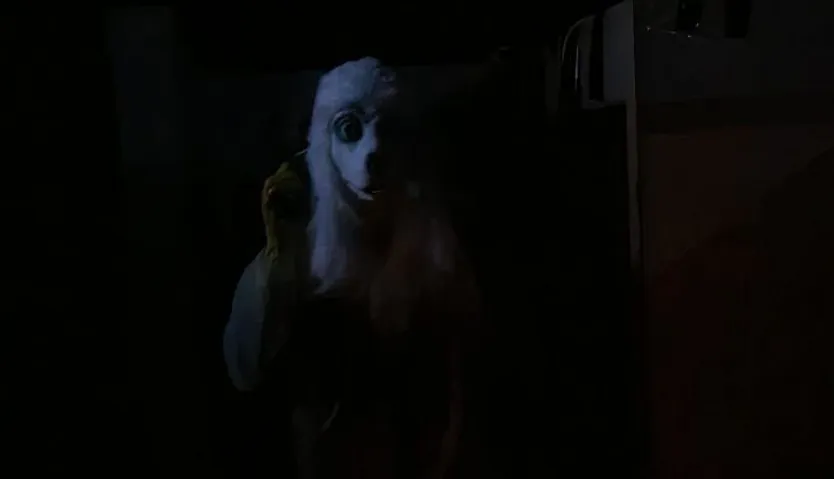 Matadero del terror en Pelabravo (2)
