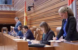 Votación del procurador del Común en el pleno de las Cortes Miriam Chacón ICAL