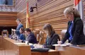 Votación del procurador del Común en el pleno de las Cortes Miriam Chacón ICAL