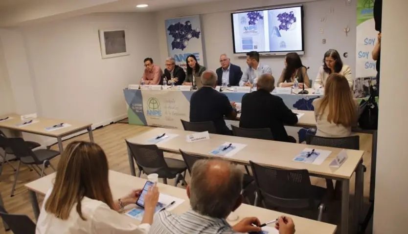 Mesa redonda de ANPE