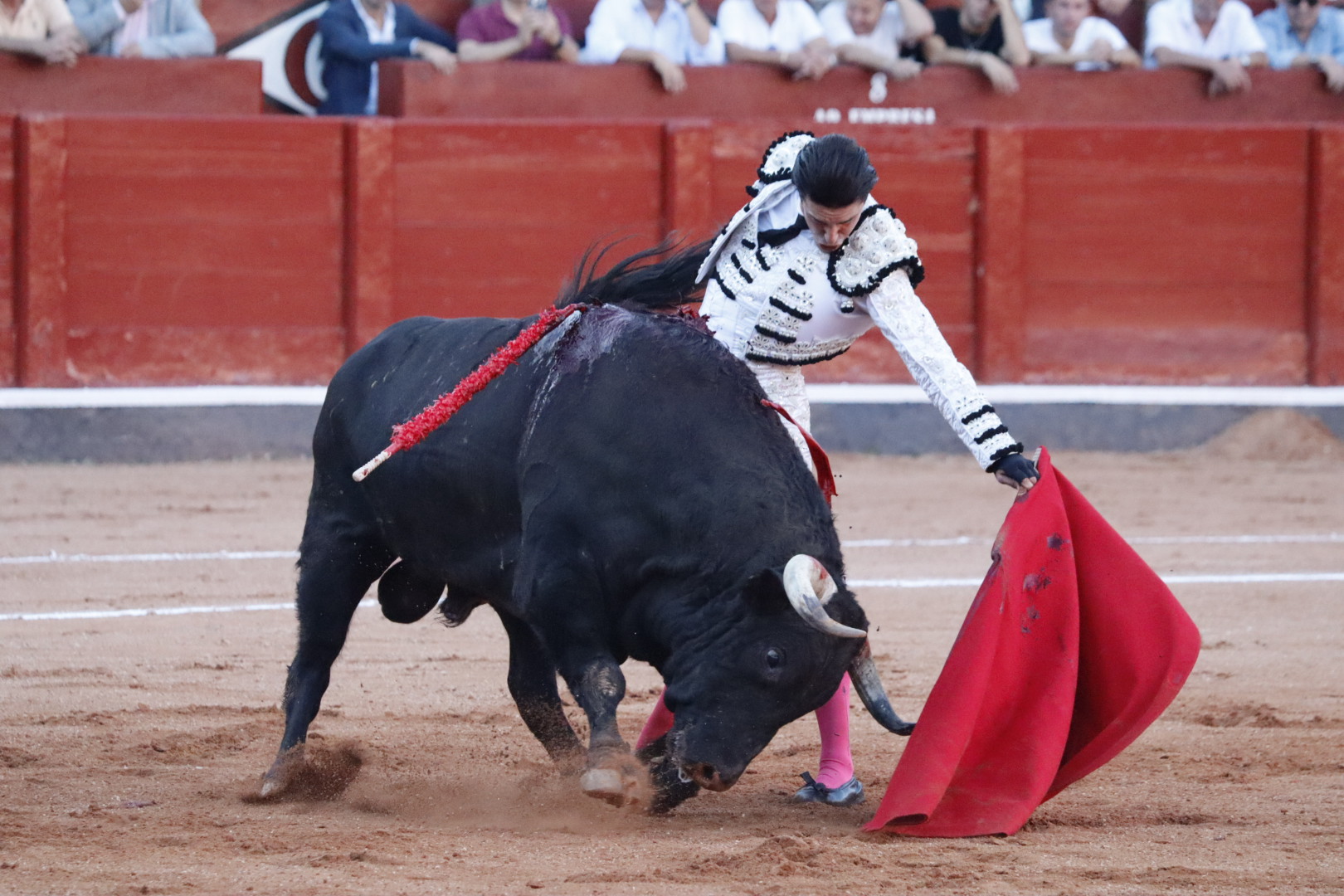 Alejandro Talavante ante el segundo de su lote de Garcigrande | Asier Galache