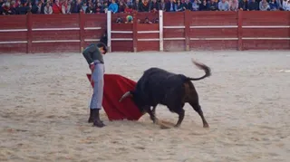 1369751