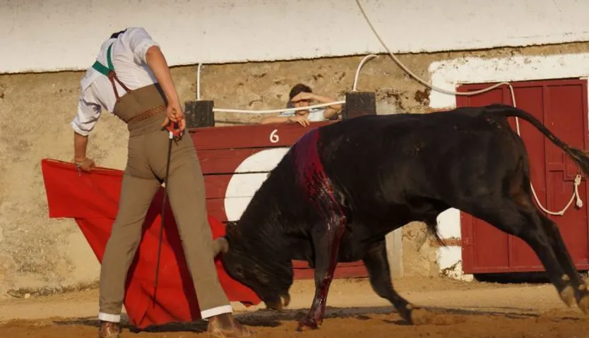 Pablo Jaramillo 3