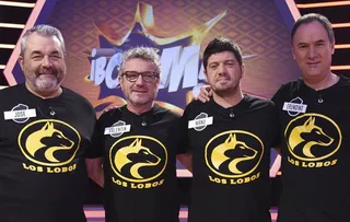 Los lobos asi son los mas listos de !boom! gallery a