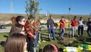La plantación de un nogal, broche a la celebración del Día del Árbol en Villamayor