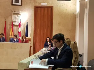 Pleno PSOE (3)