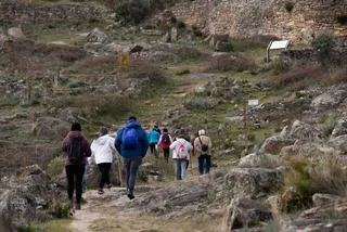 Saldeana marcha