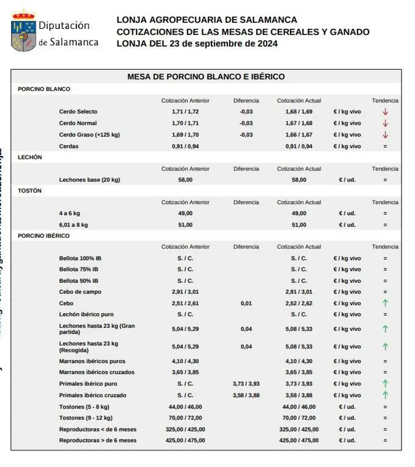 Mesa de porcino blanco 23 septiembre 2024
