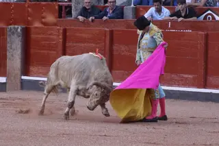 Clase práctica de la Escuela Taurina
