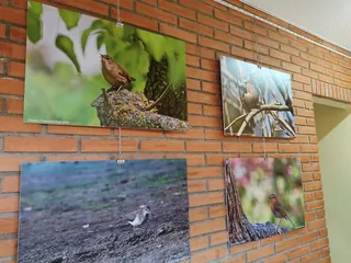 'Naturaleza a la puerta de casa' en Terradillos hasta el 11 de junio