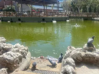 Suciedad en el estanque del parque de La Alamedilla