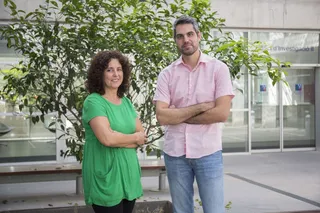 INVESTIGADORES