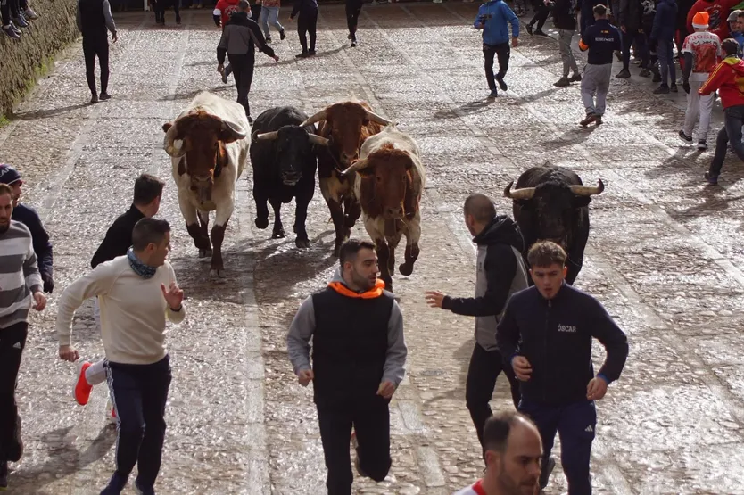 Encierro tradicional desde los corrales de la calle Duero, lunes 16 de febrero