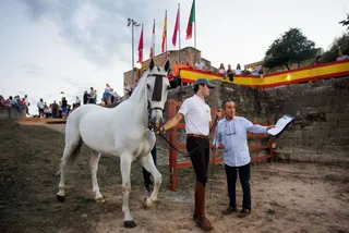 feria caballo viernes 04