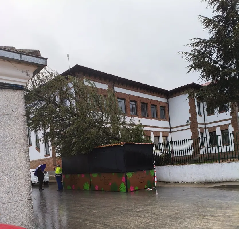 Arbol caido en Babilafuente por las lluvias y el viento