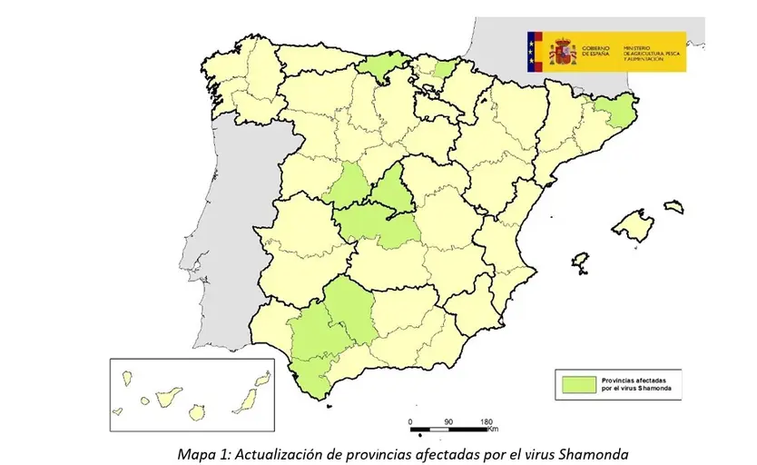 Actualización De Las Provincias Afectadas Por El Virus Shamonda a Fecha De 26 De Octubre De 2026. Imagen Ministerio De Agricultura, Pesca Y Alimentación
