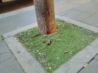 Ganemos solicita un informe municipal sobre las actuaciones para luchar contra el cambio climático
