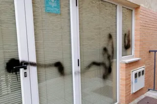 Noche de vandalismo en Doñinos en el edificio del Ayuntamiento
