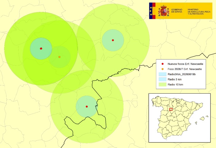 Focos de la Enfermedad de Newcastle en la provincia de Valladolid a fecha de 15 de junio de 2026 | MAPA