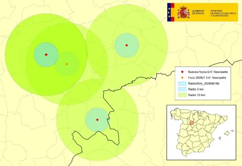 Focos de la Enfermedad de Newcastle en la provincia de Valladolid a fecha de 15 de junio de 2026 | MAPA