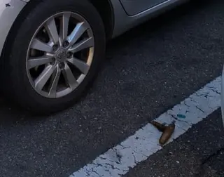 Heces entre los coches aparcados en la calle Isabeles
