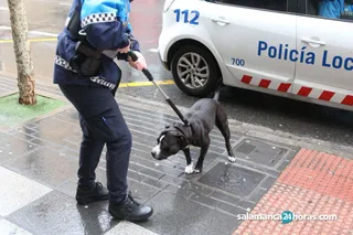 El nuevo centro municipal de protección para animales estará listo a finales de año, según el alcalde de Salamanca