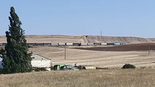 Imagen del tren de mercancías detenido a su paso por Cabrerizos