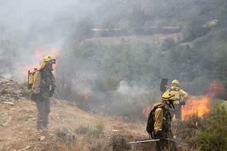 La Junta baja a nivel 1 de emergencia el incendio forestal de La Cabrera