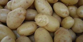 La patata vuelve a la Lonja