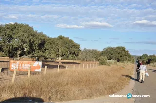 Jornada de Puertas Abiertas Berkeley Minera España