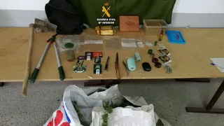 Registro marihuana en Santiago de la Puebla