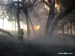 Incendio cabrerizos (17)