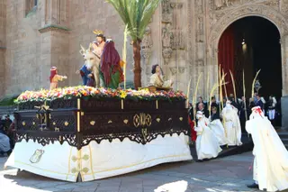 Procesión de la Borriquilla en Salamanca | Mateo G.J.
