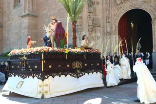 Procesión de la Borriquilla en Salamanca | Mateo G.J.