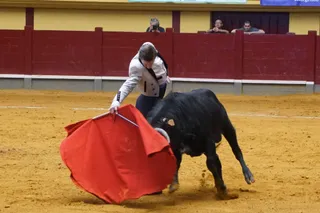 Clase práctica para alumnos de la escuela de tauromaquia de la Diputación de Salamanca | FOTO JUANES