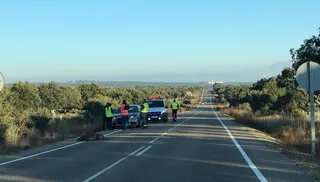 Accidente jabalí en Juzbado. Foto de archivo