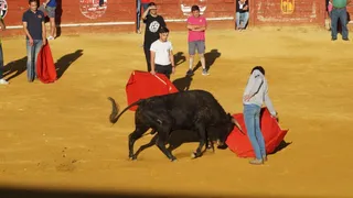 Encierro taurino en Macotera: 17 de agosto