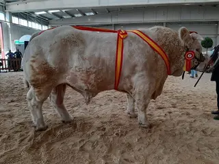 Jacson, campeón en 2021