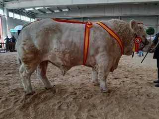 Jacson, campeón en 2021