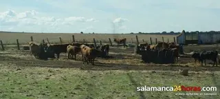 Nace el Registro General de la Producción Agrícola