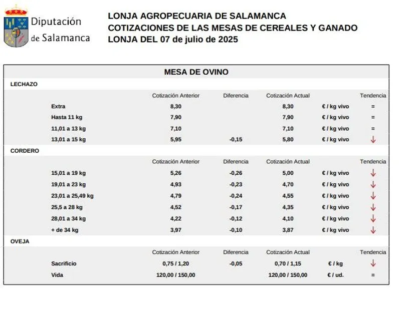 Mesa de ovino lonja 7 de julio 2025