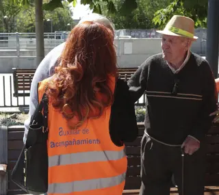 Voluntario