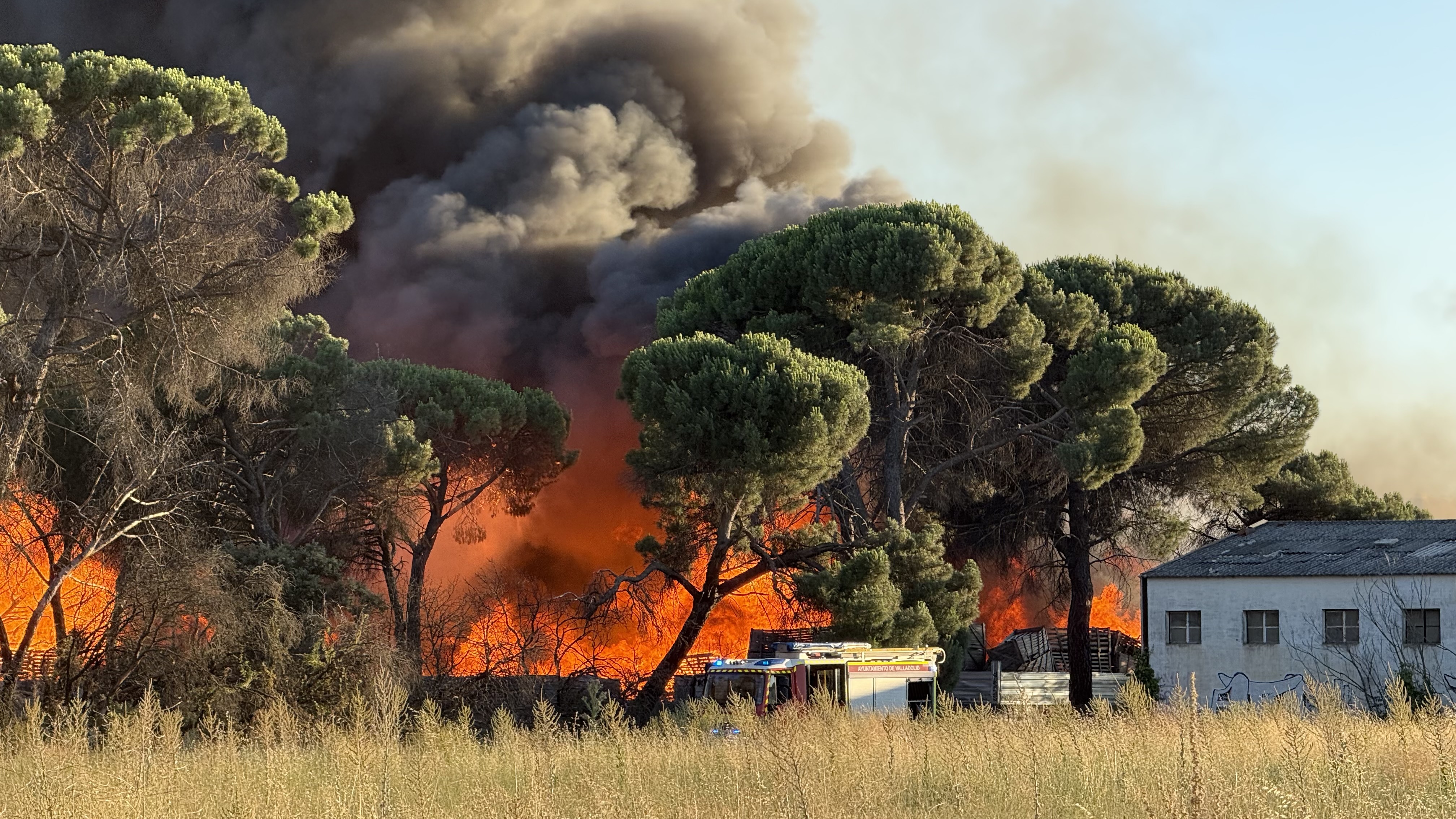 Incendio en una empresa de palets de Valladolid. Leticia P&eacute;rez | ICAL