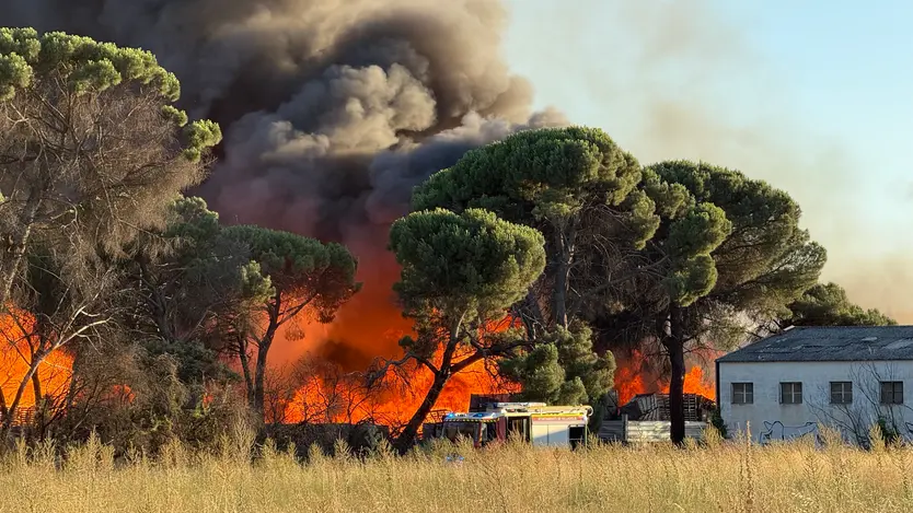 Incendio en una empresa de palets de Valladolid. Leticia Pérez | ICAL