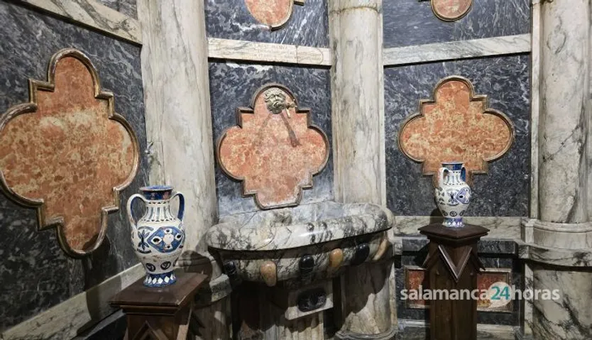 Visita guiada en la Catedral de Salamanca