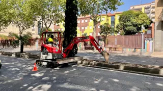 El Ayto. Salamanca renueva la mediana del paseo de Carmelitas con 2.590 nuevas plantas arbustivas.