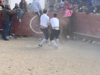 Exhibición de recortes y saltos en Cabrillas