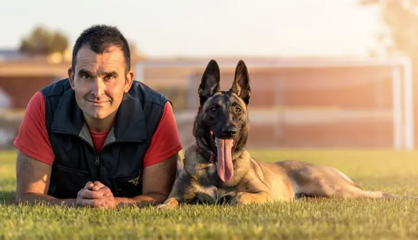 Pedro Bautista Educación canina (6)