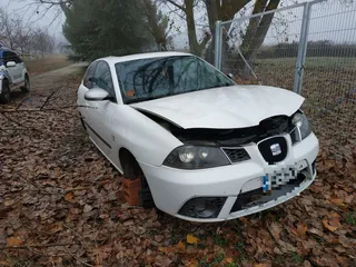 Villamayor robo coche (1)