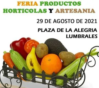 Lumbrales